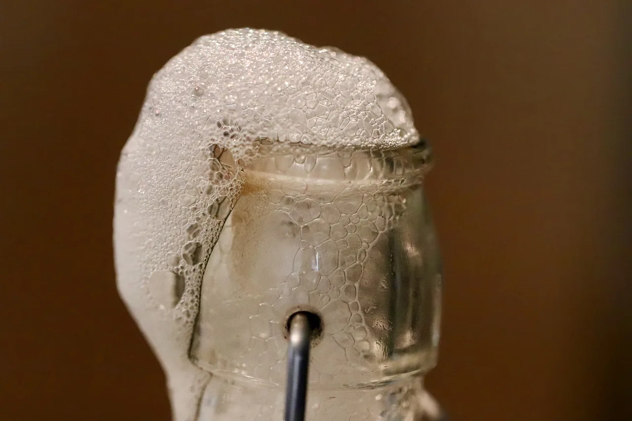 kombucha, fermented drink, foam, fermented, effervescent, bottle, healthy, bubbly, drink, ferment. Reading a home fermentation by its bubbles, smell, and the moment to stop