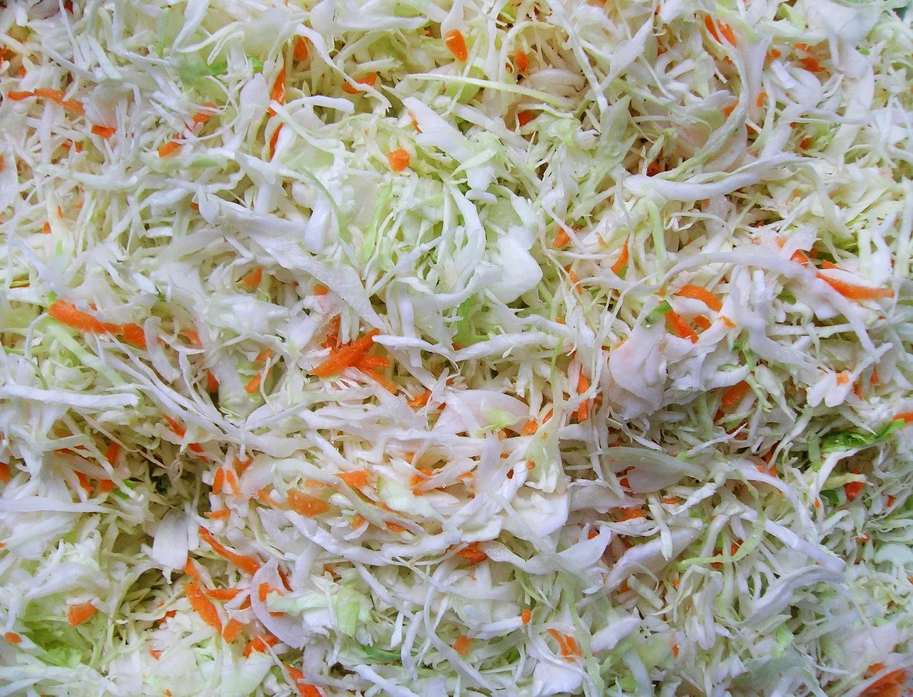sauerkraut, cabbage, salting, stocks, vitamin, vitamins, food, sauerkraut, sauerkraut, sauerkraut, sauerkraut, sauerkraut. Planning a full year of fermentation projects that each teach something