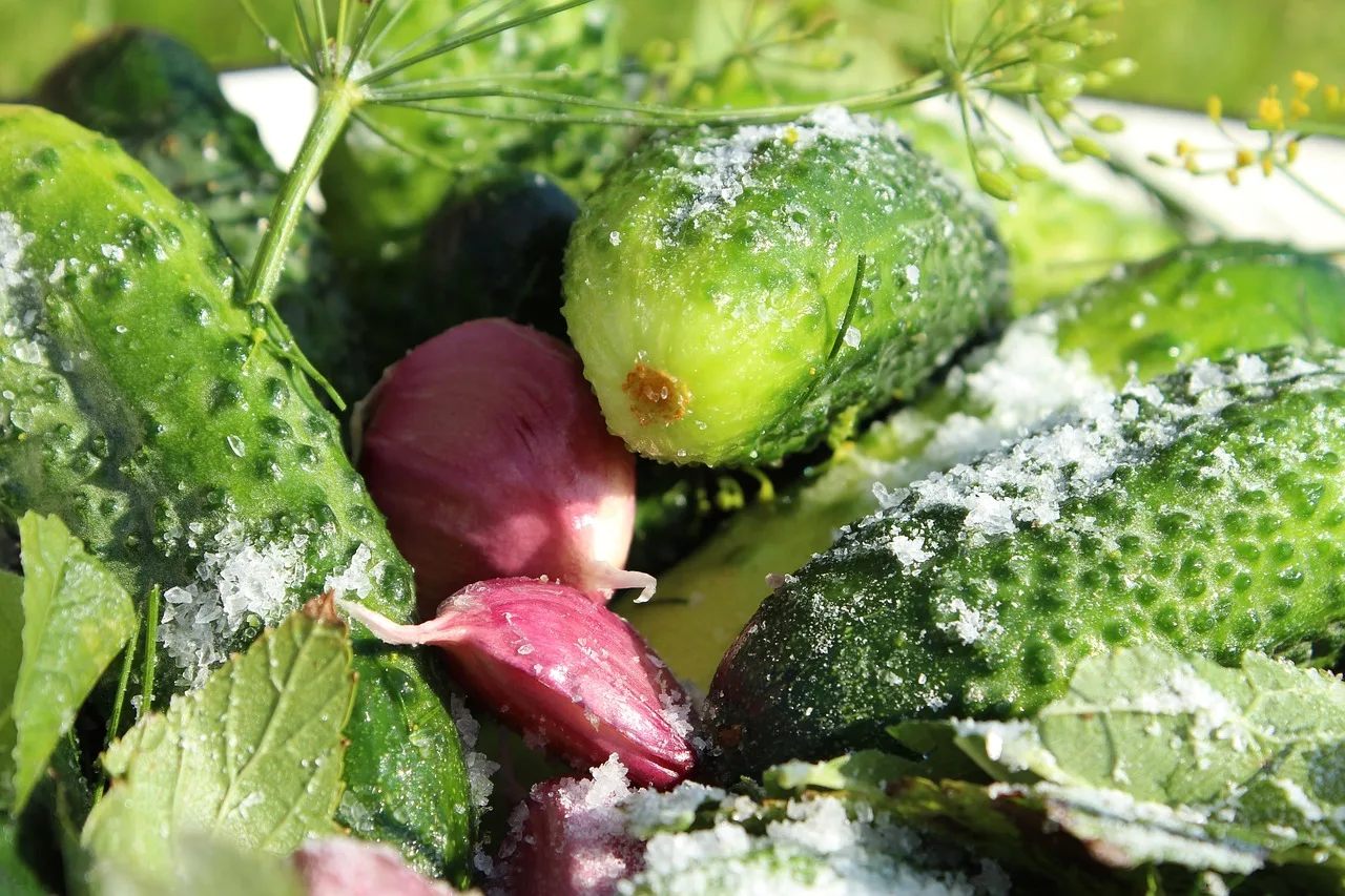 cucumbers, salt, garlic, pickles, lightly salted, blank, recipe, vegetable garden, country house, vegetables, food, delicious, salt, salt, salt, pickles, pickles, pickles, pickles, pickles, vegetable garden. What a shop should stock for home canning: salt, vinegar, canners, and spare parts