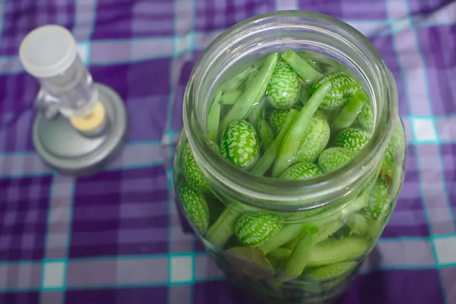 lacto-fermentation, pickling, homemade pickles, brine, canning, gherkins, string beans, dilly beans, mexican sour gherkin, melothria scabra, cucumber, green, vegetable, natural, ra