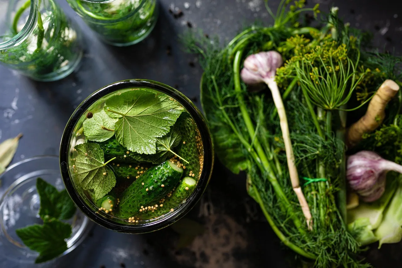 pickled, cucumbers, vegetable, leaves, nature, water, jar, pickle, dill, garlic, organic, food, preservation, healthy, nutrition. 4 fermentation tools compared on daily use, not shelf appeal