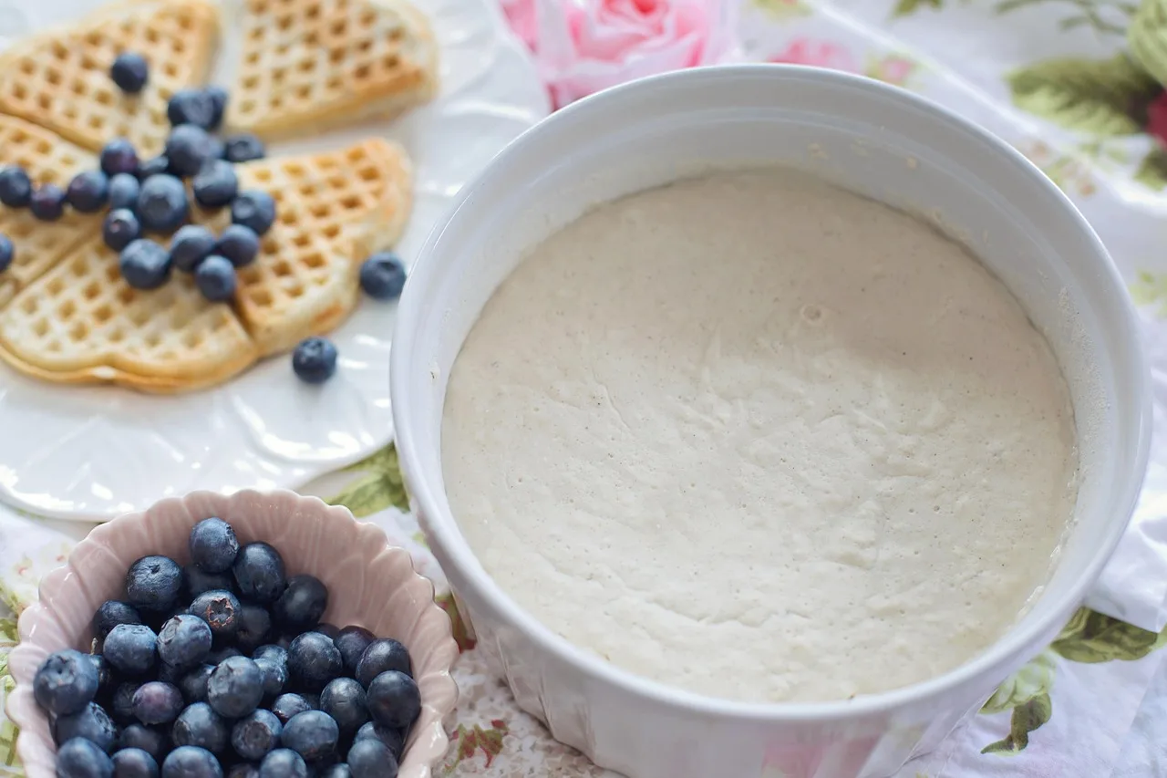 sourdough starter, baking, bread starter, yeast, bake, nutrition, sourdough starter, sourdough starter, sourdough starter, sourdough starter, sourdough starter, yeast, yeast, yeast, yeast. Shipping fermentation cultures between Canada and the US, what customs allows