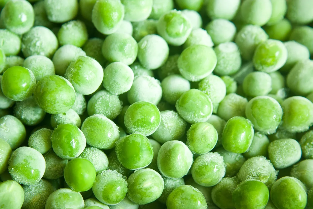 peas, frozen, vegetables, green, raw, food, nutrition, frost, vegetarian, cold, green food, green vegetables, green nutrition, peas, peas, peas, peas, peas. Can you ferment frozen vegetables? What changes