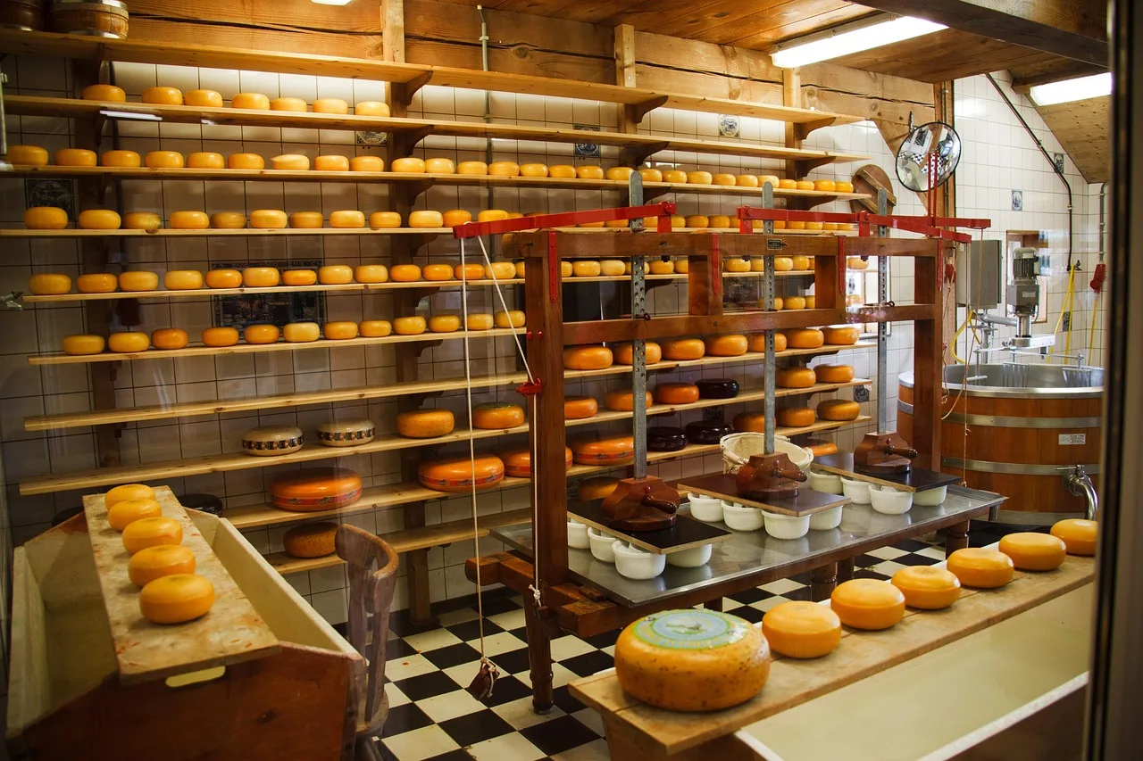cheese, clean, commercial, dairy, equipment, factory, food, industrial, industry, make, manufacture, metal, milk, plant, process, production, round, nature, steel, tank, technology, brown food, brown technology, brown plant, brown plants, brown metal, brown clean, brown industry. What actually makes a fermentation brand's product good, minus the origin story