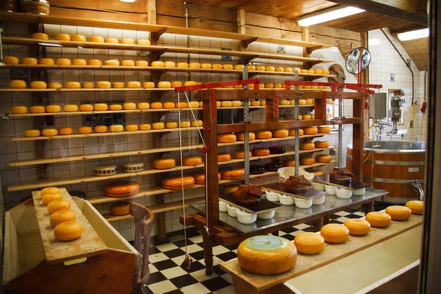 cheese, clean, commercial, dairy, equipment, factory, food, industrial, industry, make, manufacture, metal, milk, plant, process, production, round, nature, steel, tank, technology, brown food, brown technology, brown plant, brown plants, brown metal, brown clean, brown industry. What actually makes a fermentation brand's product good, minus the origin story