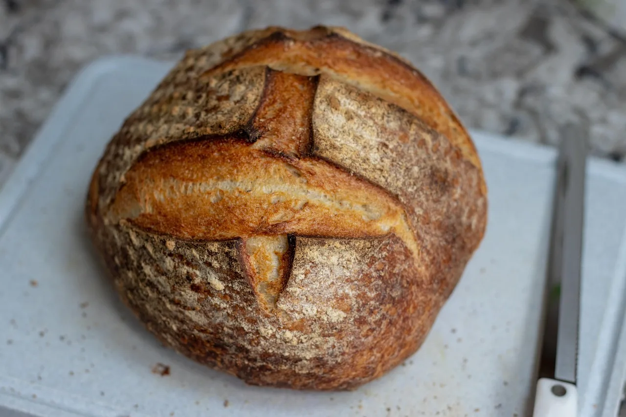 sourdough, bread, homemade, sourdough bread, baking, sourdough, sourdough, sourdough, sourdough bread, sourdough bread, sourdough bread, sourdough bread, sourdough bread. What university extension guidance says about home sourdough starters