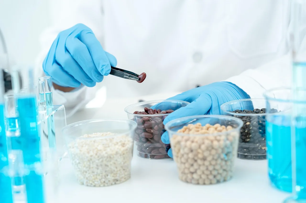 chemical, food, laboratory, science, chemistry, inspect, scientist, lab, microscope, medicine, research, biology, analysis, biotechnology, checking, inspection, quality, inspecting, biochemistry, chemist, biological, medical, microbiological, organic, safe, chemical, chemical, chemical, chemical, chemical, laboratory, laboratory, laboratory, inspect, biotechnology, biotechnology, inspection, inspection, inspection, quality, quality, chemist. Fermentation business British Columbia: which health approvals apply and who issues them
