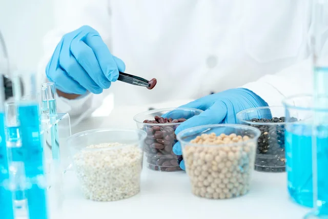 chemical, food, laboratory, science, chemistry, inspect, scientist, lab, microscope, medicine, research, biology, analysis, biotechnology, checking, inspection, quality, inspecting, biochemistry, chemist, biological, medical, microbiological, organic, safe, chemical, chemical, chemical, chemical, chemical, laboratory, laboratory, laboratory, inspect, biotechnology, biotechnology, inspection, inspection, inspection, quality, quality, chemist. Fermentation business British Columbia: which health approvals apply and who issues them