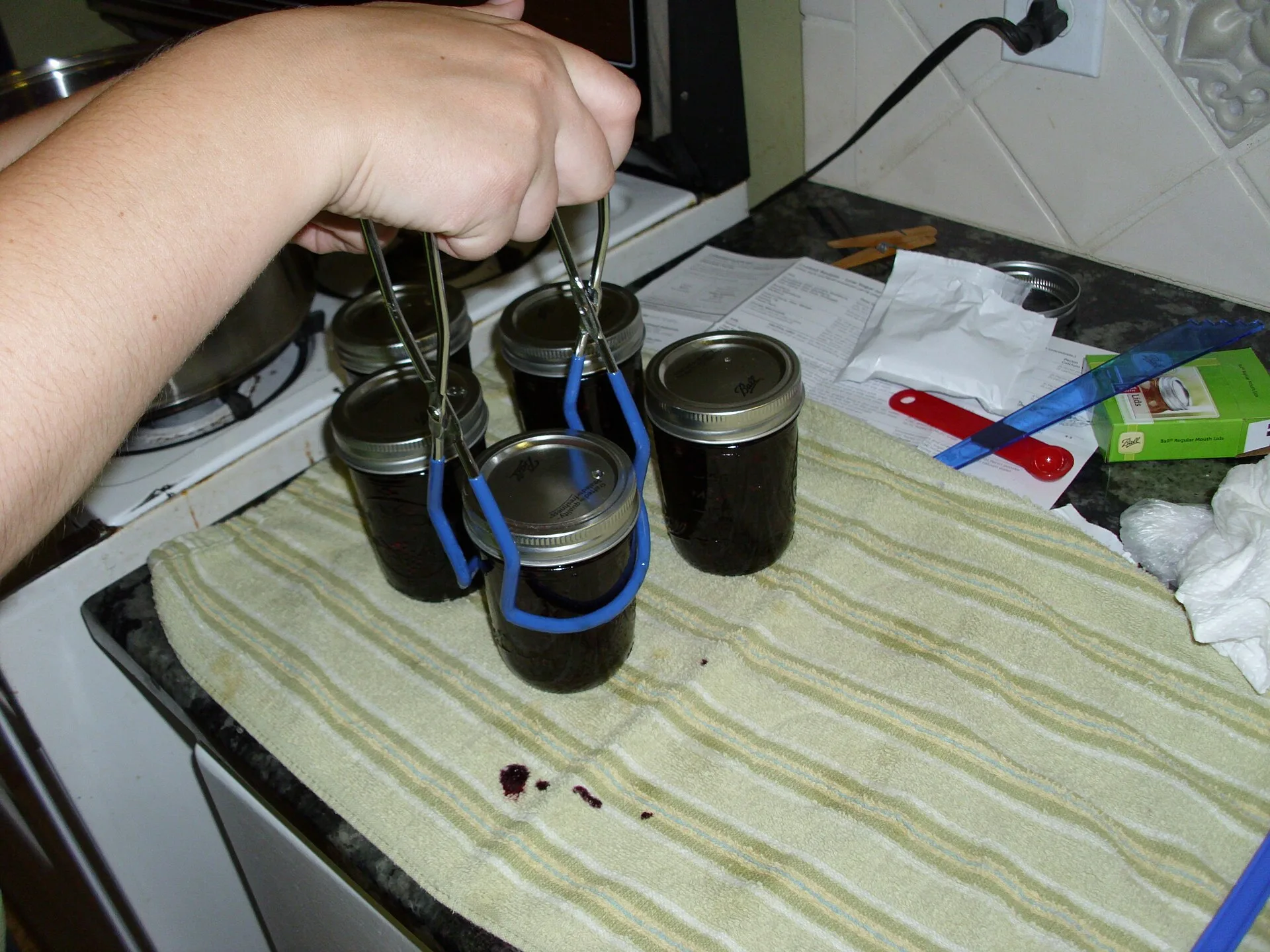 Making blueberry jam. After the lids have been put on, a woman picks up each sterilized jar with tongs, to place it in boiling water. How to clean and store fermentation tools properly between batches