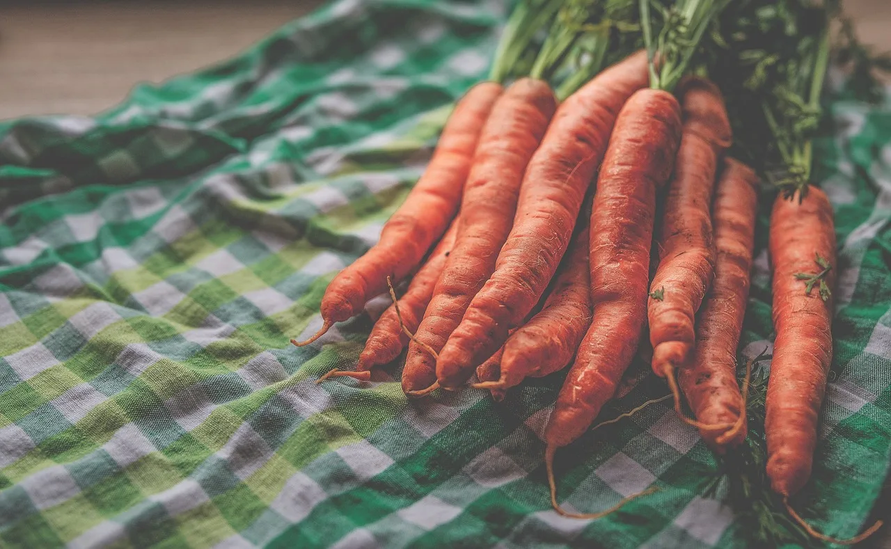 carrot, vegetable, carrots, food, fresh, raw, harvest, carrot, carrot, carrots, carrots, carrots, carrots, carrots. Fermented carrot sticks that stay crunchy: a ratio guide