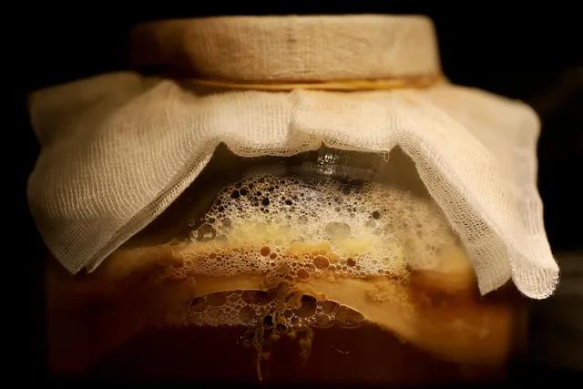 kombucha, fermented drink, fermentation, kombucha mushroom, scoby, tea mushroom, ferment, kombucha, kombucha, kombucha, kombucha, kombucha, fermentation, fermentation, fermentation, ferment. Fermentation projects: what's worth buying, what isn't