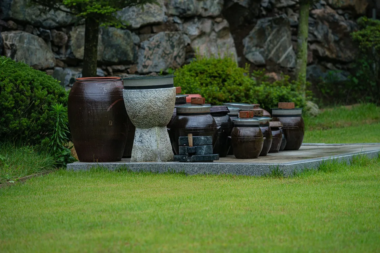 a crock for red-pepper sauce, farm, korea, food, country. Fermentation supplies list and ferments that travel as gifts
