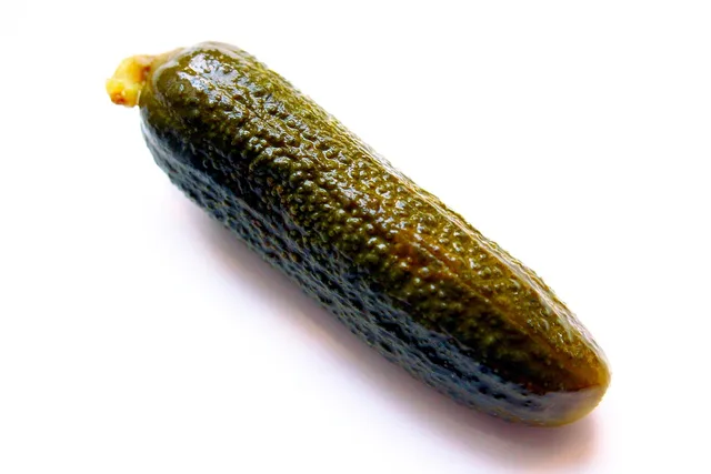 gherkin, pickle, vegetable, green, cucumber, sour, pickled, pickle, pickle, pickle, pickle, pickle. Fermentation kits and boxes: what to check before you subscribe, updated for 2027